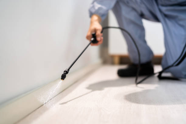 Rodent Entry Point Assessment in Waunakee