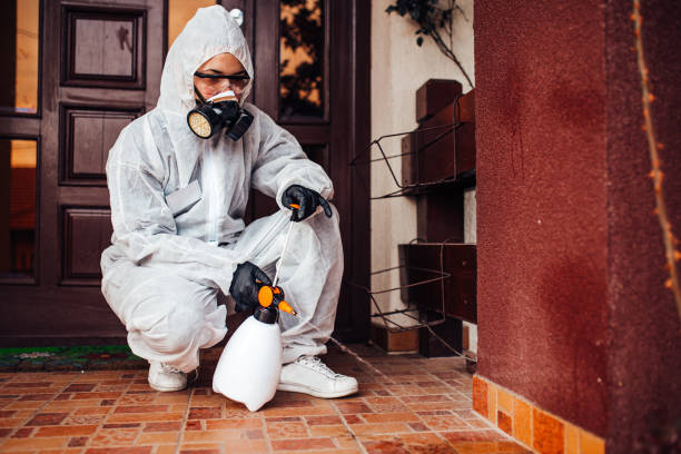 Attic and Crawl Space Rodent Treatment in Waunakee