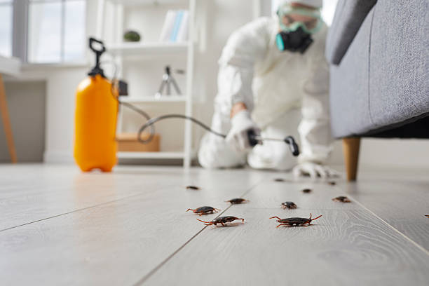 Commercial Rodent Management in Waunakee